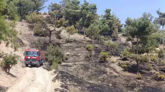 Kahramanmaraş Kılavuzlu’da çıkan orman yangını söndürüldü