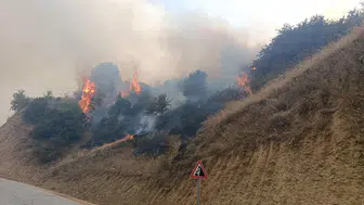 Turgutlu’da orman yangını paniği