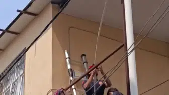 Yüreğir'de tavana sıkışan güvercinin yardımına itfaiye yetişti
