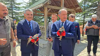 Yozgat keklik üretim merkeziyle doğa dengesini korumayı hedefliyor