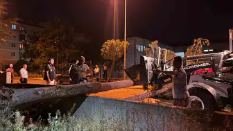 Çorum’da devrilen ağaç araçta hasara yol açtı