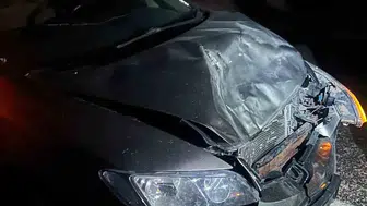 Adıyaman yolunda aniden yola fırlayan eşek kazaya yol açtı