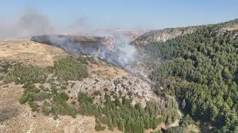 Hatay Antakya’da orman yangını paniği