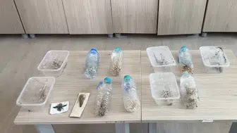 Nemrut Dağı'nda biyokaçakçılık yapan iki kişiye dev ceza