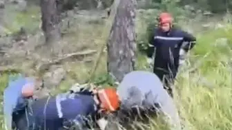 Bolu'da 50 metrelik uçuruma düşen inek vinçle kurtarıldı