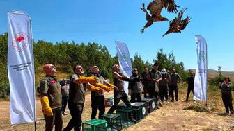 Nemrut Kalderası'nda 5 yırtıcı kuş yeniden gökyüzüyle buluştu