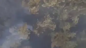 Sındırgı'da orman yangını kamyondan sıçradı