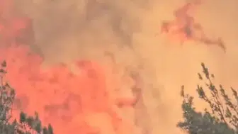 Balıkesir'de kamyon yangını ormanlık alana sıçradı