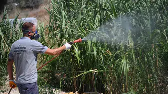 Kuşadası sokaklarında sinek ve haşere mesaisi