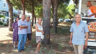 Burhaniye'de asırlık gelenek: Çamlık altında 700 kişilik lokma kuyruğu