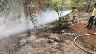 Kilis'te yıldırım düşen ormanlık alanda yangın paniği
