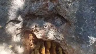 Elazığ’da kayaların arasında gizlenmiş doğal bal sürprizi