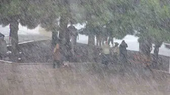 Samsun sağanak yağışta Türkiye'nin zirvesine yerleşti