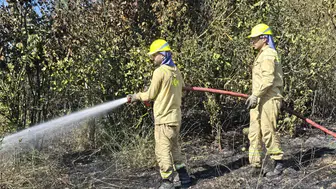 Mudanya'da korkutan yangın büyümeden söndürüldü