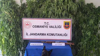 Osmaniye jandarmasından bir haftalık asayiş bilançosu