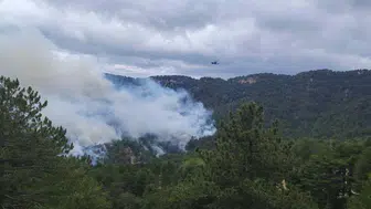 Manavgat'ta orman yangını kabusu 22 saat sonra bitti