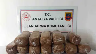 Antalya’da kaçak tütün baskını Üç ilçede 785 kilo ürün toplandı