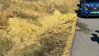 Tek bir izmarit koca tarlayı küle çevirebilirdi