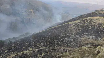 İspir orman yangınında yeni nesil arazözün büyük başarısı