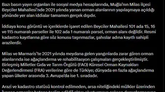 Milas'taki yanan orman alanları imara mı açıldı? DMM yalanladı?