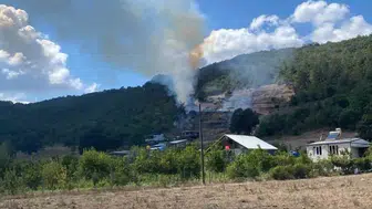 Bursa'da alevler ormana dayandı: Yerleşim yerleri için alarm verildi