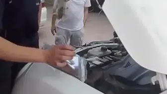 Yalova’da sürücülerin bilmesi gereken hayat kurtaran kedi uyarısı