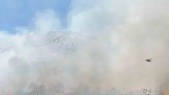 Sason’da orman yangını evlerin kapısına dayandı