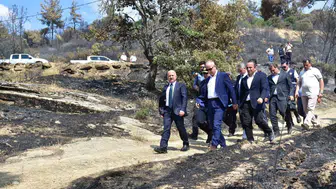 Aydın'da yangın bölgesinde hasar tespit çalışmaları başladı