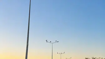 Göç yolundaki leylekler Muratlı'da direklere kondu