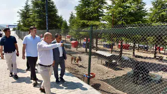 Altıeylül’de sokak hayvanları için yeni dönem çağrısı