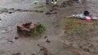 Fındık hasadı için gittikleri Samsun'da kabusu yaşadılar: Çadırları sular altında kaldı