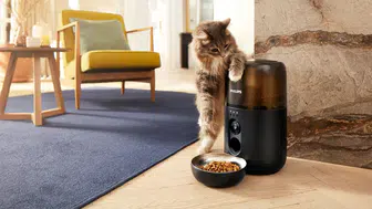 Evde kedi besleyenler için akıllı bakım dönemi