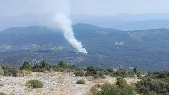 Muğla Menteşe'de ormanlık alanda yangın paniği