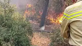 Buca'da orman yangını başladı