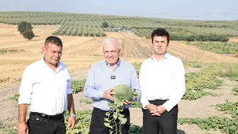 Çirkin ama çok lezzetli "Hırsız Almaz Kavunu" artık tescillenecek