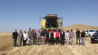 Sivas tarlalarında yeni buğday dönemi başladı