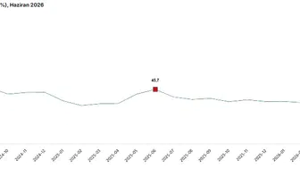 Haziran ayında şirketlerin ciroları yıllık bazda yüzde 25,8 yükseldi
