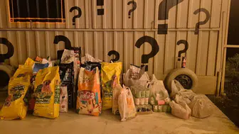 Müzikli etkinlikte patili dostlara 600 kilo mama toplandı