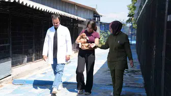 Düzce’de 359 sokak hayvanı yeni yuvasına kavuştu