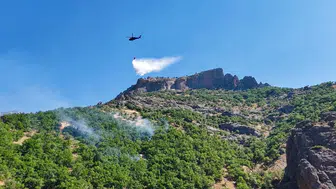 Munzur Vadisi'ndeki orman yangını söndürüldü