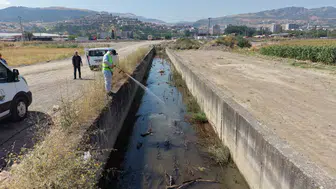 Tokat Belediyesi sokak sokak ilaçlama yapıyor