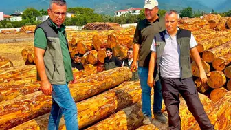 Dörtyol'da orman üretim hedefleri masada, ekipler sahada denetimde