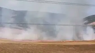 İnegöl'de tarlayı ateşe veren çocuk yakalandı