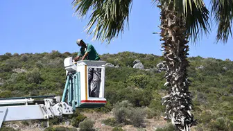 Kuşadası çevreyolunda palmiye temizliği başladı