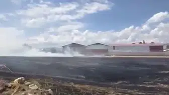 Tokat Zile'de buğday tarlasında çıkan yangın evlere ulaşmadan söndürüldü