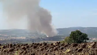 Mudanya Çekrice Mahallesi’nde orman dışı alanda yangın başladı