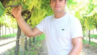 Üzüm üreticisinin yüzünü güldürecek yeni formül