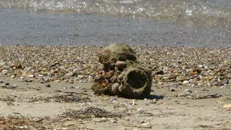 Çanakkale plajında denize girenleri korkutan tarihi mühimmat