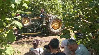 Fındık bahçesinde traktör devrildi, sürücü hayatını kaybetti