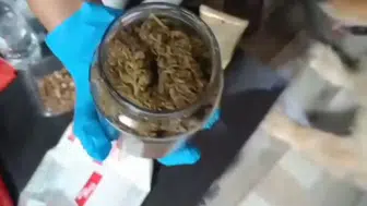 Jandarma üç ilçede aynı anda bastı Evlerde kubar esrar çıktı